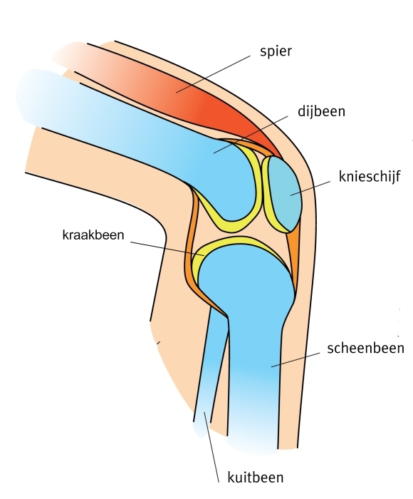 download Einführung